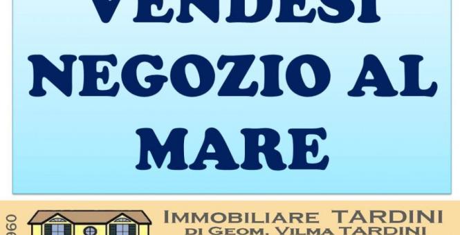 immobiliaretardini it annuncio-VENDESI-NEGOZIO-Riccione-1596 010