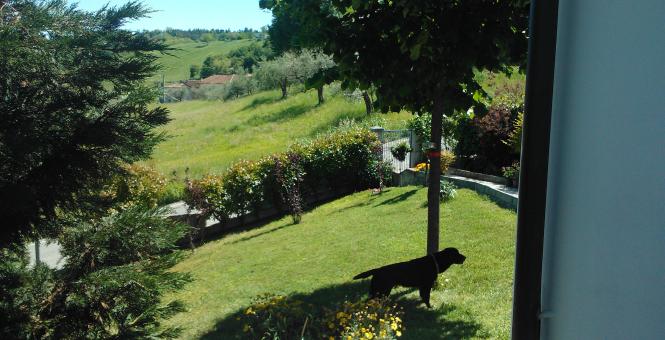 immobiliaretardini it annuncio-vendesi-villetta-indipendente-con-giardino-montescudo-1445 011